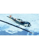 IL-2 Sturmovik: La-5 Series 8 Collector Plane DLC