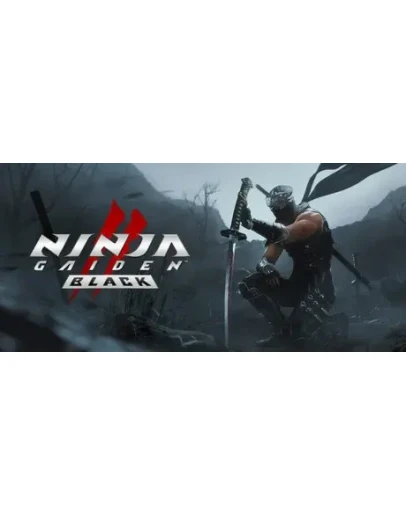 NINJA GAIDEN 2 Black steamМИР