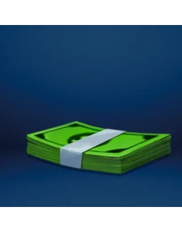 Bundle of banknotes True Reporter EGS DLC (PC