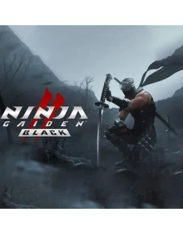 NINJA GAIDEN 2 Black STEAM OFFLINE