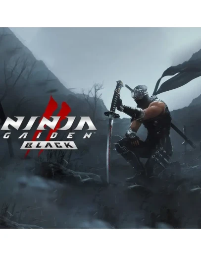 NINJA GAIDEN 2 Black STEAM OFFLINE