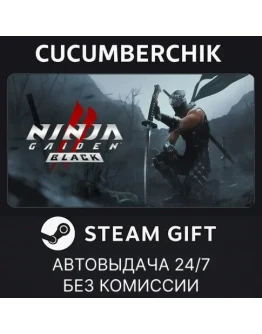 NINJA GAIDEN 2 BlackSTEAM GIFT AUTORU+МИР