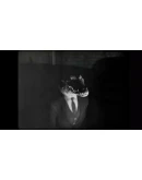 Cat Detective Albert Wilde АВТОДОСТАВКА STEAM РОССИЯ