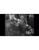 Cat Detective Albert Wilde АВТОДОСТАВКА STEAM РОССИЯ