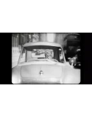 Cat Detective Albert Wilde АВТОДОСТАВКА STEAM РОССИЯ