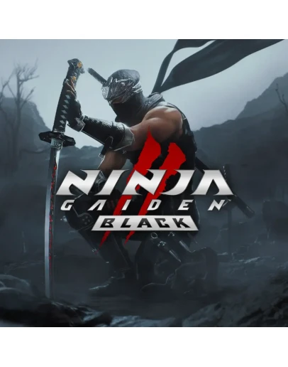 NINJA GAIDEN 2 Black MS АККАУНТ