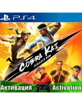 Cobra Kai Collection (PS4/ENG) Активация