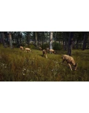 Way of the Hunter Elite Edition Steam АККАУНТ +ПОЧТА Way of the Hunter Elite Edition Steam АККАУНТ +ПОЧТА