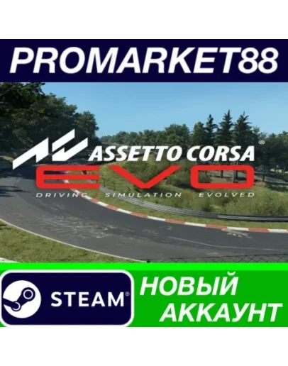 Assetto Corsa EVO Steam АККАУНТ НОВЫЙ+ПОЧТА