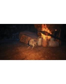 Winter Survival Steam АККАУНТ НОВЫЙ+ПОЧТА