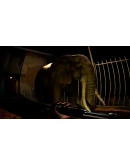 Zoochosis Steam АККАУНТ НОВЫЙ +ПОЧТА
