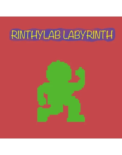 Rinthylab labyrinth PS4 &amp PS5