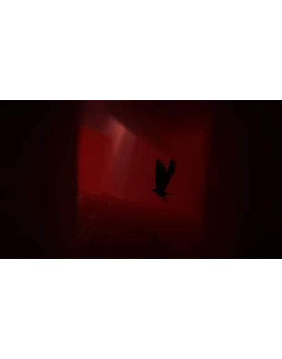 Rise of Insanity PS4 &amp PS5