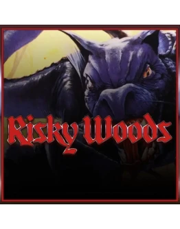 Risky Woods (QUByte Classics) PS4 &amp PS5