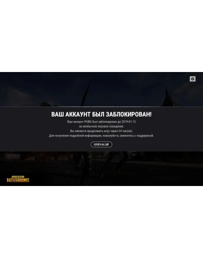 Услуга единоразового снятия HWID бана в игре PUBG