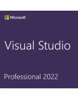 Visual Studio 2022 Professional / Бессрочная лицензия