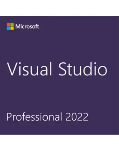 Visual Studio 2022 Professional / Бессрочная лицензия