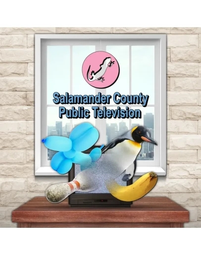 Salamander County Public Television PS4 & PS5 Salamander County Public Television PS4 & PS5