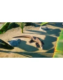 Planet Zoo Deluxe Edition Upgrade Pack DLC * STEAM