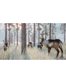 Planet Zoo: Arctic Pack DLC * STEAM РОССИЯ