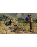 Planet Zoo: Conservation Pack DLC * STEAM РОССИЯ