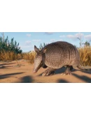 Planet Zoo: Grasslands Animal Pack DLC * STEAM RU Planet Zoo: Grasslands Animal Pack DLC * STEAM RU