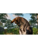 Planet Zoo: Grasslands Animal Pack DLC * STEAM RU Planet Zoo: Grasslands Animal Pack DLC * STEAM RU