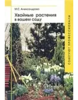 Хвойные растения в вашем саду + БОНУС