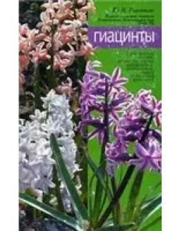 Гиацинты + БОНУС Гиацинты + БОНУС