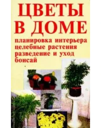 Цветы в доме - интерьер здоровья + БОНУС