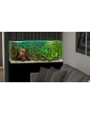 Behind Glass: Aquarium Simulator - STEAM GIFT РОССИЯ