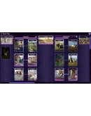 Rogue Hex - STEAM GIFT РОССИЯ