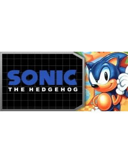 Sonic The Hedgehog STEAM GIFT Россия + МИР + ВСЕ СТРАНЫ