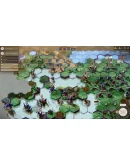 Yield! Fall of Rome - STEAM GIFT РОССИЯ