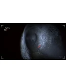 Together After Dark - STEAM GIFT РОССИЯ