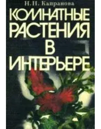 Комнатные растения в интерьере + БОНУС