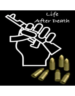 Pistol Ammo Pack 100 bullets EGS DLC (PC)