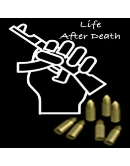 Pistol Ammo Pack 100 bullets EGS DLC (PC)