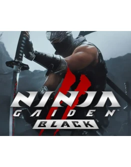 NINJA GAIDEN 2 BlackSTEAM АККАУНТНА 90 ДНЕЙ + ИГРЫ