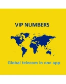 Виртуальный номер Безлимитные SMS 365 дней