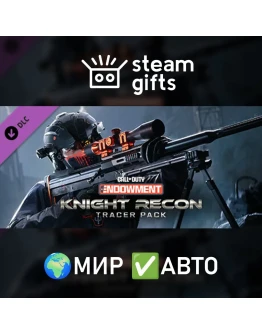 DLC C.O.D.E. Knight Recon: Tracer Pack МИР АВТО