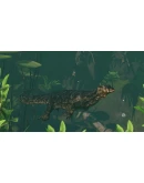 Planet Zoo: Tropical Pack DLC * STEAM RU*KZ*UA*СНГ Planet Zoo: Tropical Pack DLC * STEAM RU*KZ*UA*СНГ