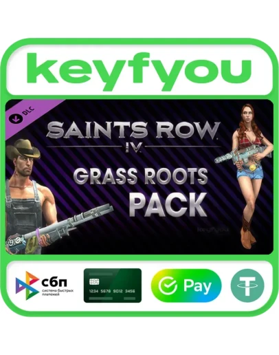 Saints Row IV: Grass Roots Pack / STEAM DLC КЛЮЧ