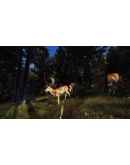 Way of the Hunter Elite Edition (Steam Ключ / РФ+СНГ) Way of the Hunter Elite Edition (Steam Ключ / РФ+СНГ)