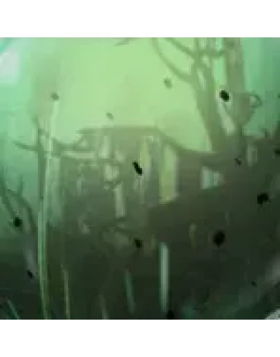 ПОГОДА Weather Pestilence ОТПРАВКА ТРЕЙДОМ ПОГОДА Weather Pestilence ОТПРАВКА ТРЕЙДОМ