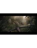 Kingdom Come: Deliverance II Gold Edition + ВСЕ DLC Kingdom Come: Deliverance II Gold Edition + ВСЕ DLC