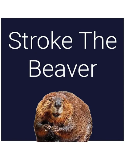 Stroke The Beaver PS5 Stroke The Beaver PS5