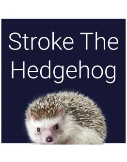 Stroke The Hedgehog PS5 Stroke The Hedgehog PS5
