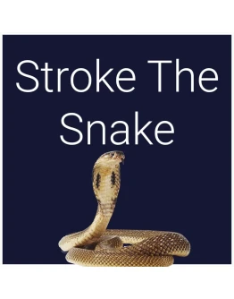 Stroke The Snake PS5 Stroke The Snake PS5