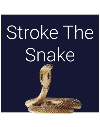 Stroke The Snake PS5 Stroke The Snake PS5